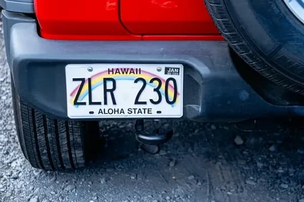 VIDIO Hide Plates in Car Videos Use Case 4