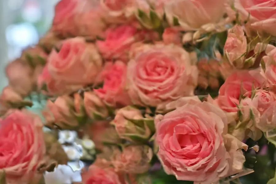 VIDIO's Video Stabilizer - Example 5