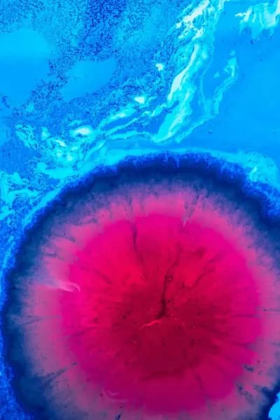 VIDIO Video Quality Improver - Example 2