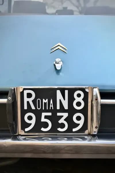 VIDIO Hide Plates in Car Videos - Example #3