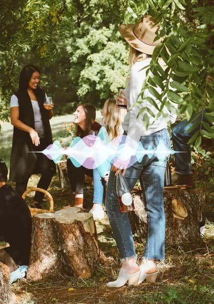 VIDIO Voice Censoring - Example 4