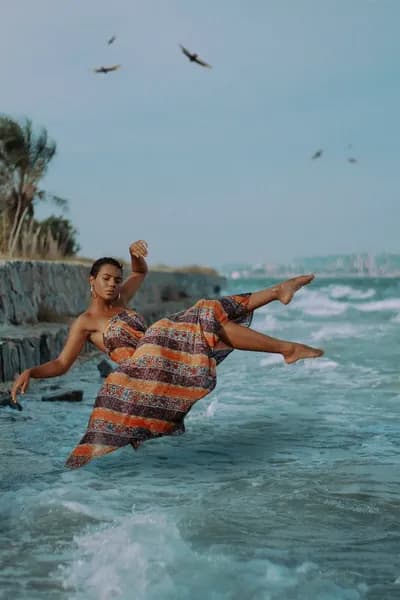 VIDIO FPS Increase Example 4