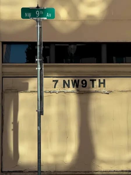 VIDIO Blur House Numbers Use Case 1